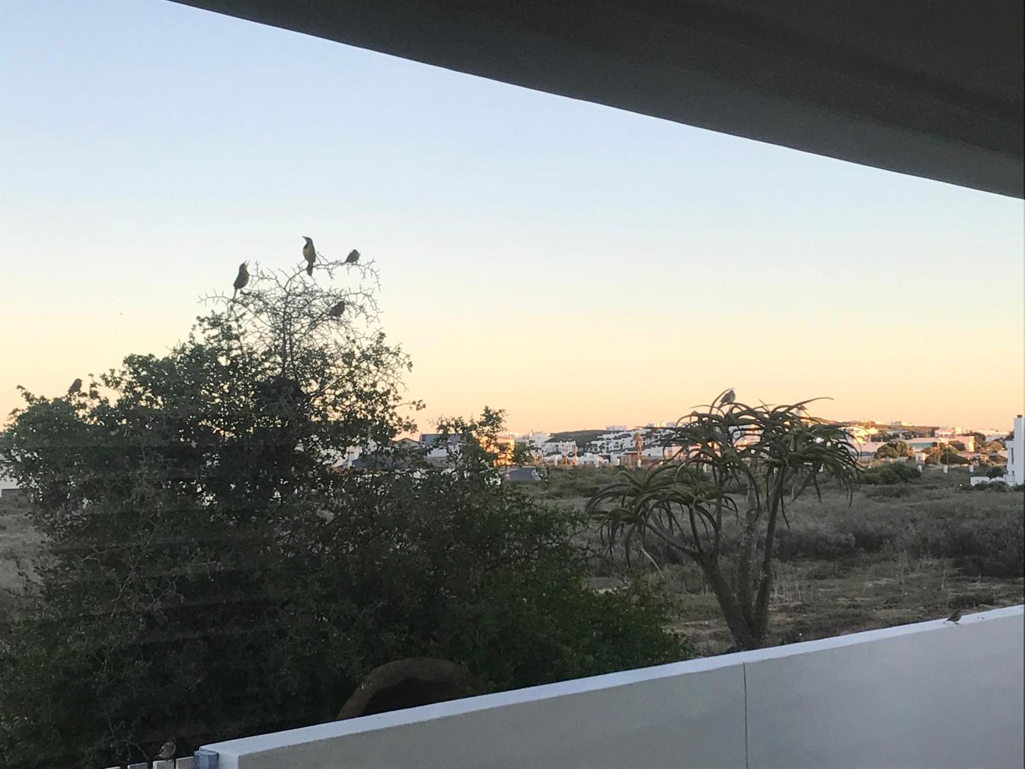Perfect 10 - 10 To 13 Sleeper Luxury Holiday Home Breakage Deposit Of R2500 Per Weekend Lease Langebaan Esterno foto