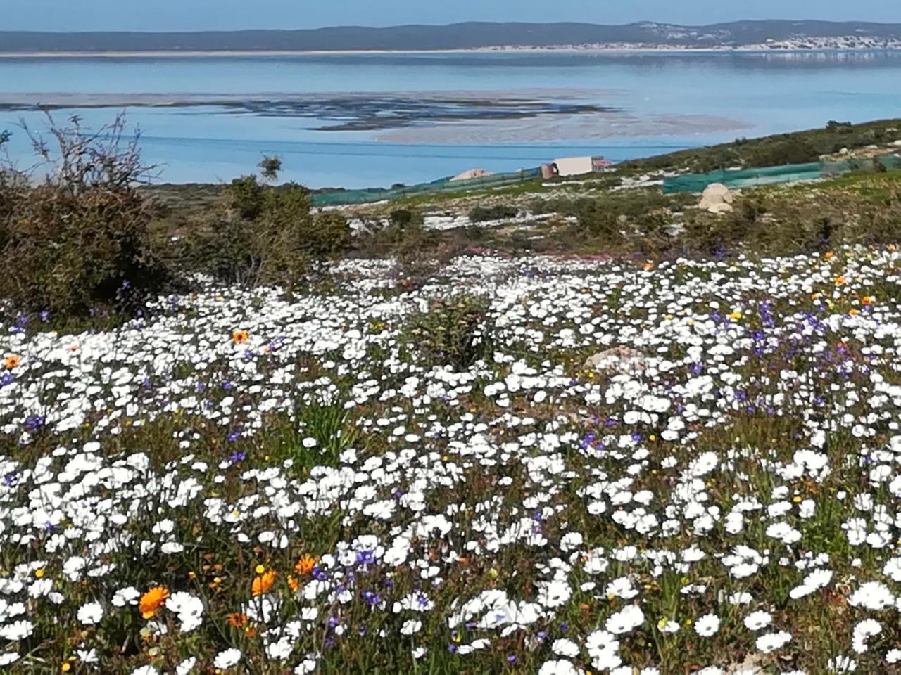 Perfect 10 - 10 To 13 Sleeper Luxury Holiday Home Breakage Deposit Of R2500 Per Weekend Lease Langebaan Esterno foto