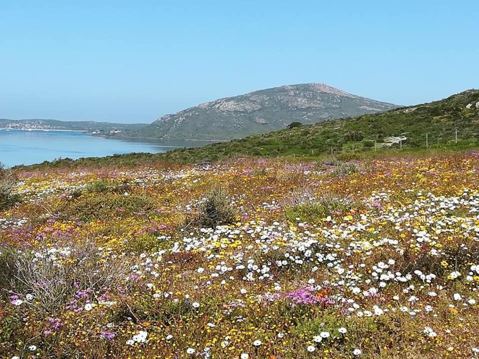 Perfect 10 - 10 To 13 Sleeper Luxury Holiday Home Breakage Deposit Of R2500 Per Weekend Lease Langebaan Esterno foto